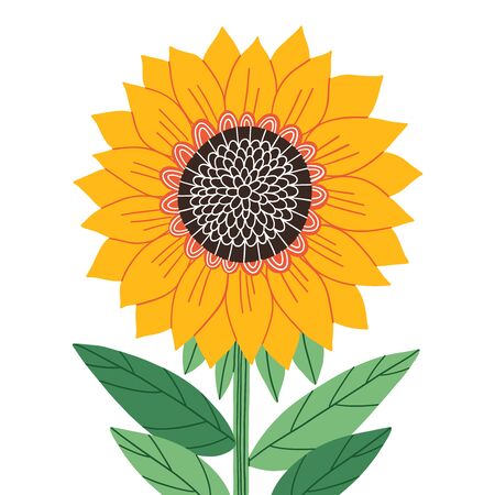 Beautiful abstract sunflower, isolated vector illustrationのイラスト素材