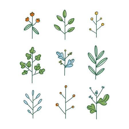 Set of nine simple hand drawn floral branches, isolated vector illustrationのイラスト素材