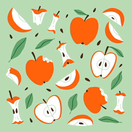 Eaten, bitten and sliced apples composition, vector cartoon set, isolatedのイラスト素材