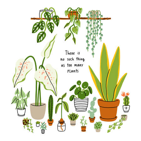 There is no such thing as too many plants, house plants isolated on white, floral vector illustration cardのイラスト素材