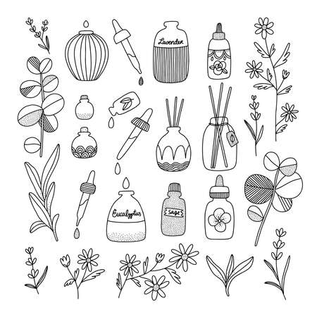 Aromatherapy aesthetic with different oil bottles and plants, vector illustrations setのイラスト素材