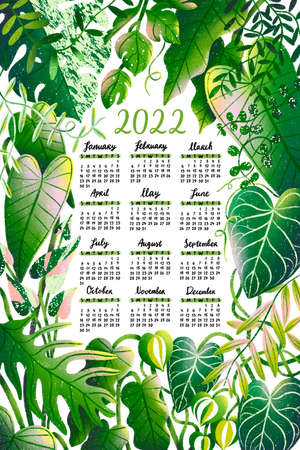 Rare jungle plants border frame illustration with calendar for year 2022, decorative floral frameの写真素材