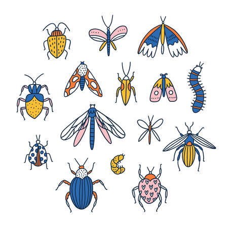 Colorful cartoon insects, beetles and bugs, vector illustration collection clip art, isolated on white backgroundのイラスト素材