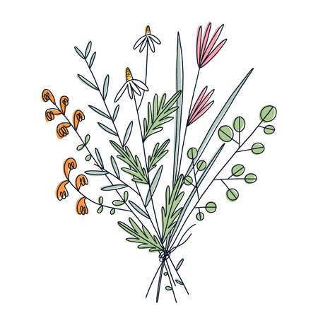 Field flowers summer bouquet, colorful pastel floral illustration with black outline, vector illustration isolated on white backgroundのイラスト素材