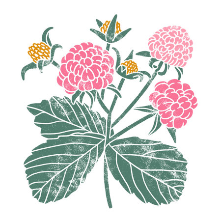 Yummy garden raspberry block print style beautiful summer illustration, isolated on white backgroundの写真素材
