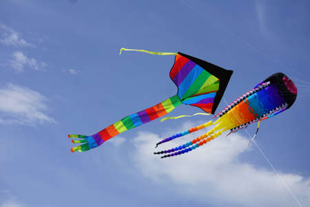 Two bright kites hover in the blue sky.の写真素材