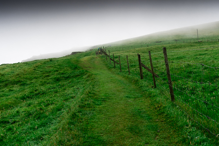path on the cliffs of the island of Mykines in the Faroe Islandsの写真素材