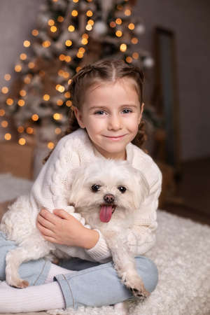 Smiling small girl hugs maltese dog. Beautiful little girl kid has with pigtails on head plays with her favorite dog on bed. Children and animals concept. Girl cares about pet at home. Christmasの写真素材