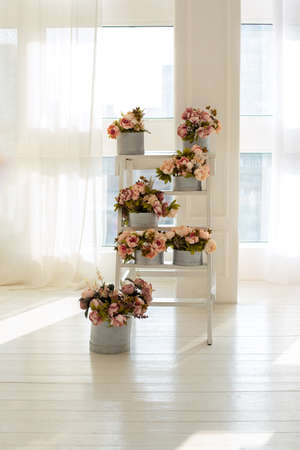 Interior with step ladder and peonies in boxes. Bouquets of delicate flowers in round boxes. Wooden ladder used as shelves for Different plants in home interior against window. wedding ceremony decor.の写真素材