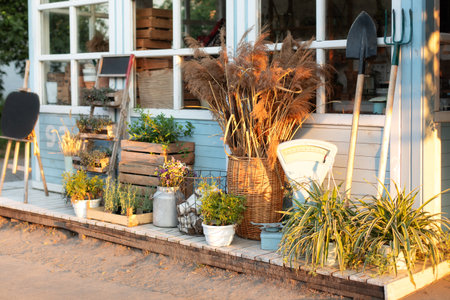 Facade blue house Rustic style. Green plants, dried spikelets, flowers and pampas grass in backyard home in summer. Cozy decor veranda at house. Gardeningの写真素材