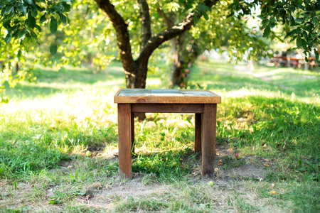 Wooden table in the garden. Table in the shade of a tree.