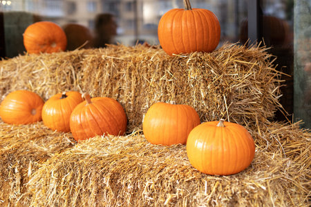 Orange halloween pumpkins on stack of hay or straw in sunny day. Rustic Fall Pumpkins and straw...