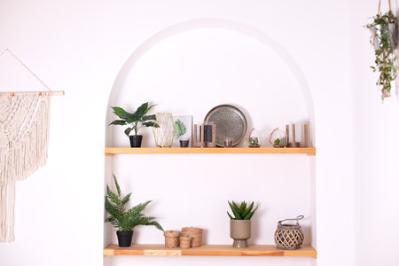Shelf with different houseplants and decor on white wall backgroundの写真素材