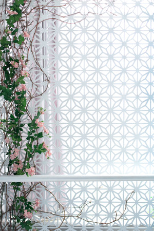 Decorative white wooden wall with round holes pattern and climbing plant. Fragment texture background from wall covered with traditional patterns. Ornamental Vintage Patternの写真素材
