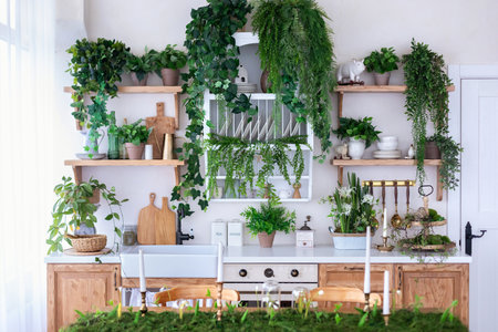 Interior of modern kitchen with plants and kitchenware on the shelvesの写真素材
