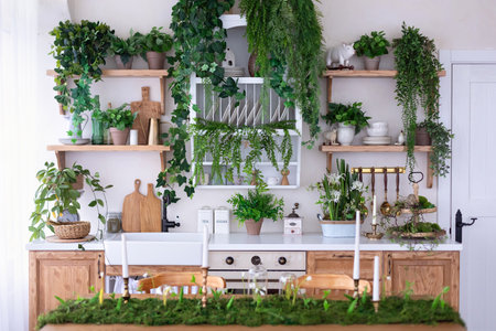 Interior of a cozy kitchen with plants and furniture in the Scandinavian styleの写真素材