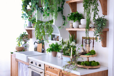 Interior of modern kitchen with plants in pots and wooden shelfsの写真素材