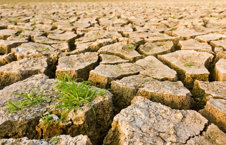 Cracked earth with grass , metaphoric for climate change and global warming.の写真素材