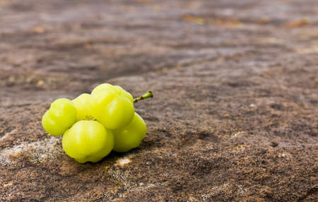 Star Gooseberry On stone backgroundの写真素材