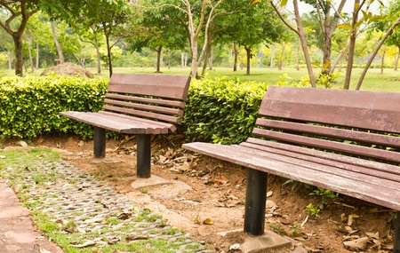Bench in a park in summer.の写真素材