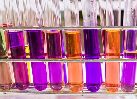 Test tubes sit in rack on a benchの写真素材