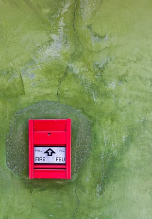 Red Fire alarm on green wallの写真素材