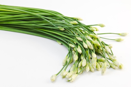 Chives flower on white backgroundの写真素材