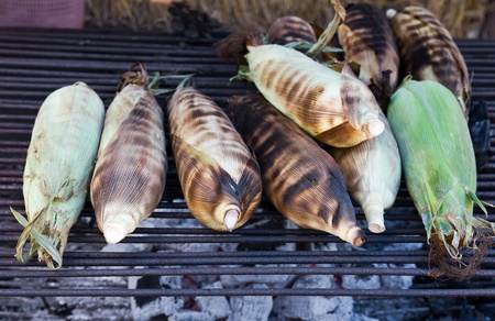 Roasted sweet corns on the grillの写真素材