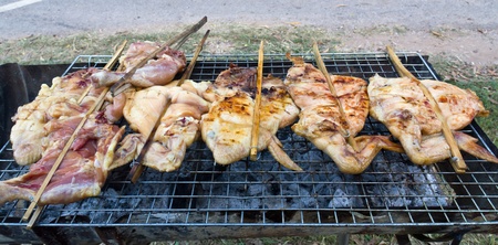 Roasting chicken on the grillの写真素材