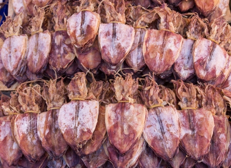 Dried squid in market  Thai food styleの写真素材