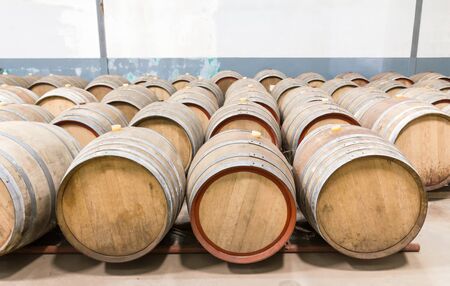 Wine cellar with the barrique barrels in wineriesの写真素材