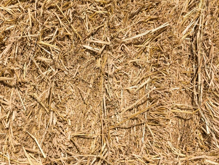 Field with bales of hay or straw countryside at harvest timeの写真素材
