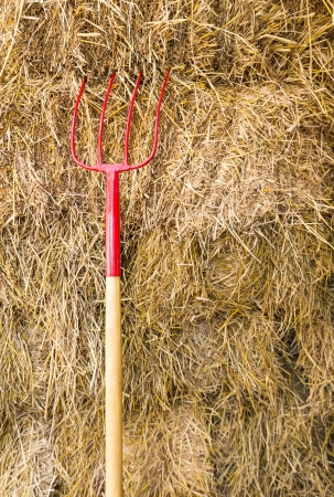 Pitchfork sit in a pile of Straw   stacked awaiting the workers の写真素材