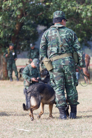 THAILAND- DECEMBER 18: Training Dogs of War, Thailand's Army on December 18, 2014 in Saraburi, Thailand.のeditorial素材