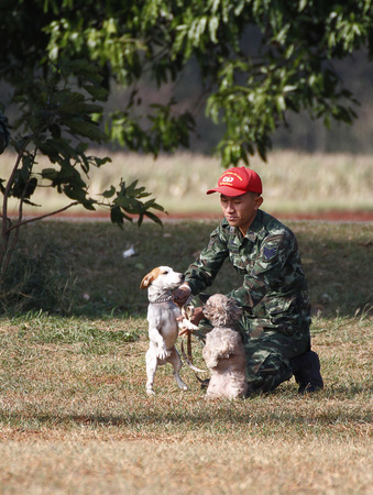 THAILAND- DECEMBER 18: Training Dogs of War, Thailand's Army on December 18, 2014 in Saraburi, Thailand.のeditorial素材