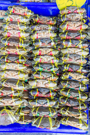 Close up row Black Crab or Serrated Mud crab in fresh marketの写真素材
