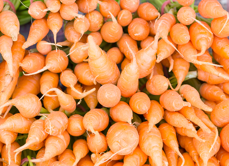 Close up fresh organic carrot with tails
