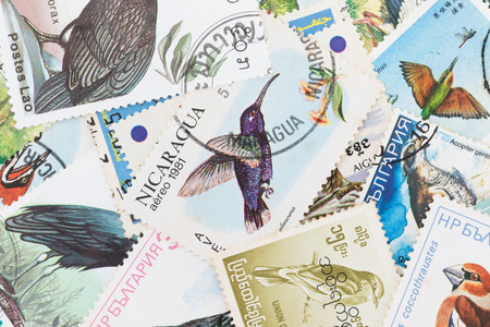 SARABURI, THAILAND-JUNE 01,2017: Used Postage stamps with a bird theme ,shows image of Bird, circa 1987のeditorial素材