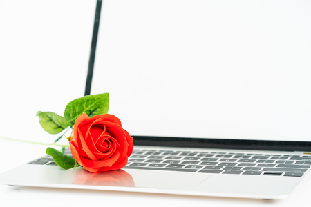 Red rose on the laptop keyboard on white background, Valentine  conceptの写真素材
