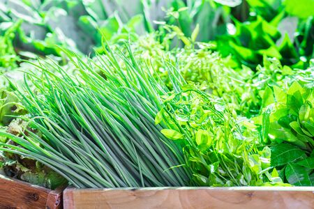 Fresh organic produce , fresh vegetables and herbs from farm organic products