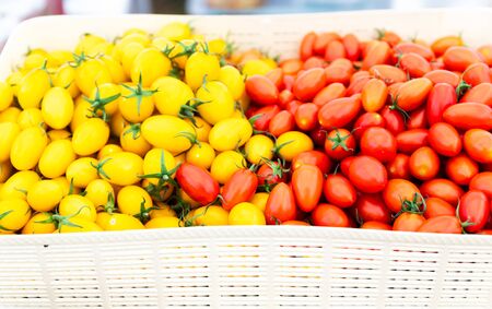 Yellow and red cherry tomatoes (Solanum lycopersicum) vegetables vegetarian food in basketの写真素材