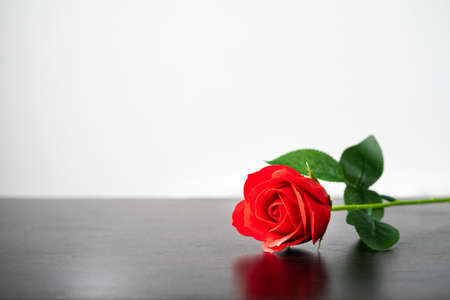 Red rose on the wood table agent white background ,Valentine conceptの写真素材