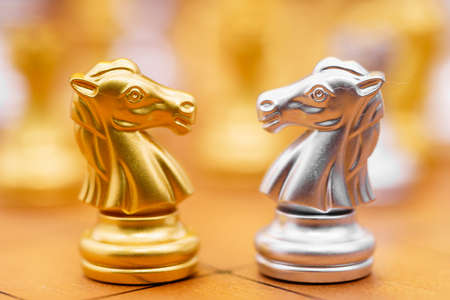 Gold king chess piece and various chess pieces stand on wood chessboard ,Concept of leadership game of strategyの写真素材