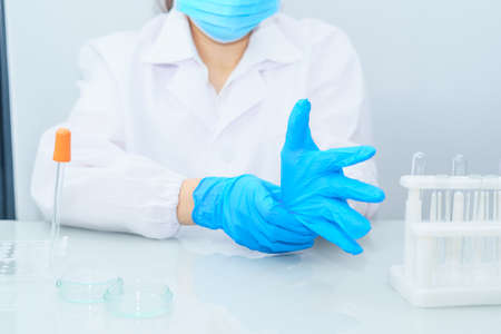 Close up Scientist hands putting in nitrile blue latex gloves in labcoat wearing nitrile gloves, doing experiments in labの写真素材