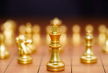 Gold king chess piece and various chess pieces stand on wood chessboard ,Concept of leadership game of strategyの写真素材