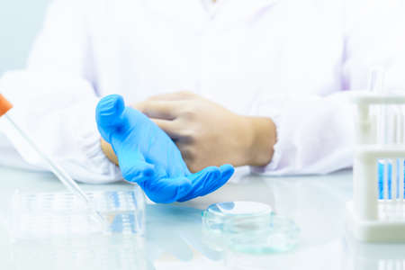 Close up Scientist hands putting in nitrile blue latex gloves in lab coat wearing nitrile glovesの写真素材
