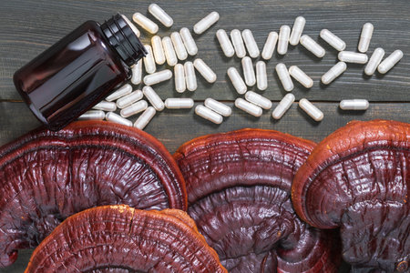 Close up of Ling zhi mushroom, Ganoderma lucidum mushroom and capsule with bottle mockup on wood tableの写真素材