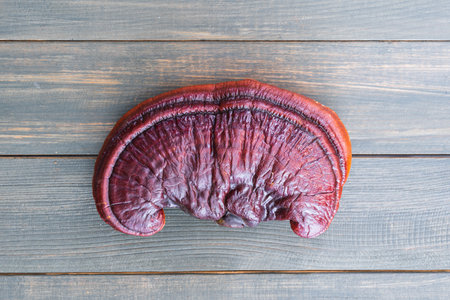 Close up of Ling zhi mushroom, Ganoderma lucidum mushroom on wood tableの写真素材