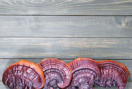Close up of Ling zhi mushroom, Ganoderma lucidum mushroom on wooden floorの写真素材