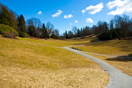 Picture of a park during springの写真素材